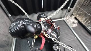 Lemon 2272623 ffc3ea52 マスクショート２