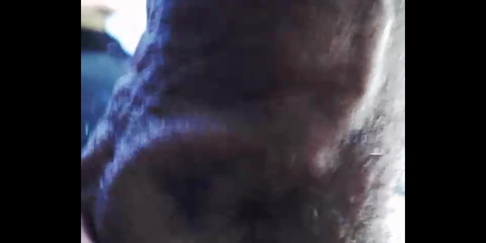 Webcams transexuales para el 29 de abril de 2019 – 30 (MP4, SD, 640×480) en porno transexual