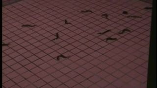 adult xxx video 35 full blowjob Enema Basics - Porn online, bdsm porn on blowjob porn