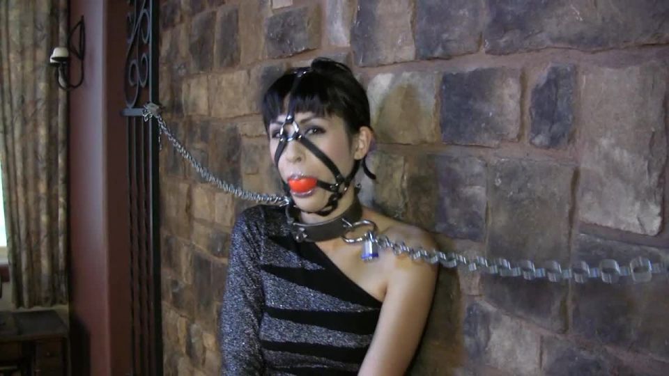 imago-tudiois-bts526