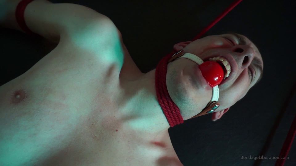 BondageLiberationEliseGravesPoke Fun - Dart Tech And Elise Graves 09 09 22