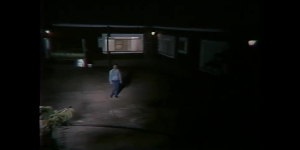 7160 Loucas Por Cavalos - Loucas Por Cavalos