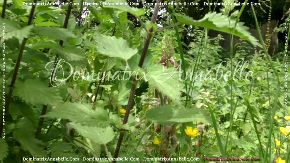 Online tube Dominatrix Annabelle in Leather, Whips and Stilettos!