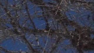 7151 DP Judith Fox - Superfuckers 6