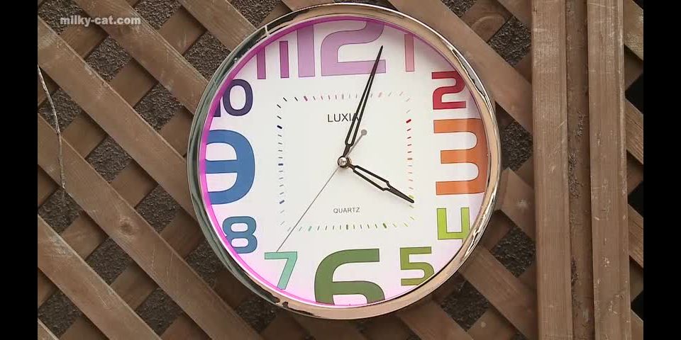 Rei Mizuna - The Dried Bukkake Rei Mizuna  - 2020