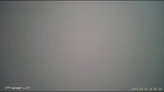 Excretion Of Large Ants Young Children All 528104858 - [Webcam]