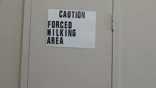 free porn video 23 sadistic femdom Jerky Girls – Lexy Jerks Volume 1, femdom handjob on handjob porn