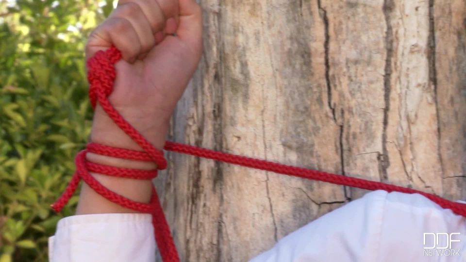 online xxx video 33 Delightfully Drenched, fetish foxes on bdsm porn 