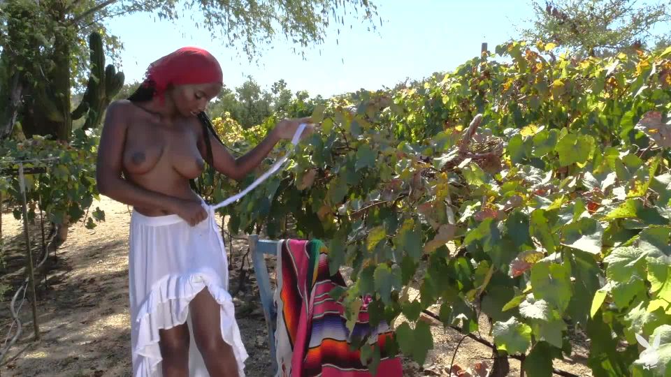 Shasta Wonder - Veni Vidi Vino - Solo