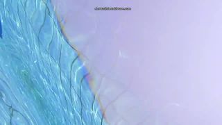 Thanks to a bikini malfunction we can see both pussy and tits voyeur 