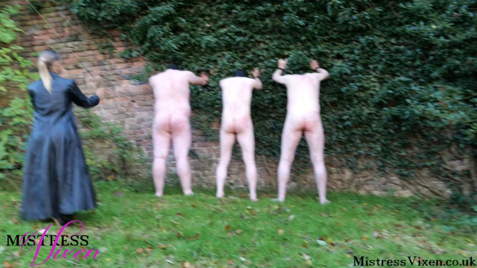 Señora Vixen Wall golpeada (Porno femenino)