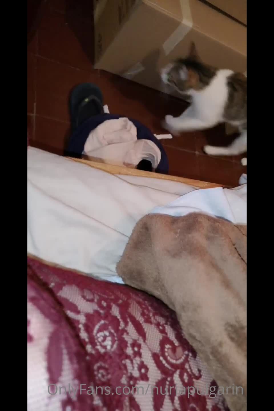 nuriapulgarin  Me hago mis cositas dulces… Hummmm……,  on feet porn 