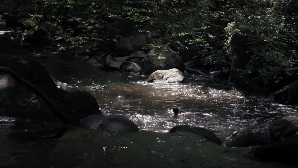 Cylia Malki - Carpe Diem (2013) HD 1080p!!!