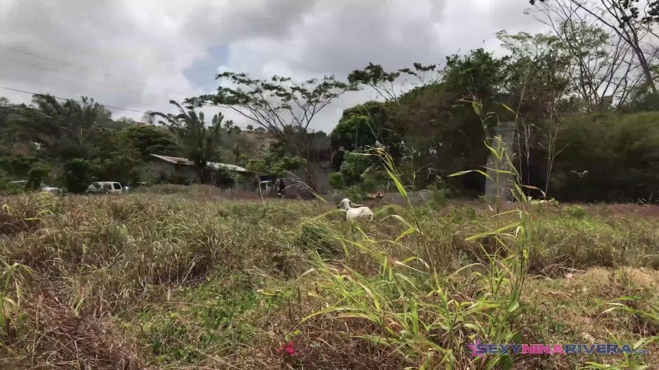 online xxx clip 14 Sexy Nina Rivera – Head by the Riverside 24, sadistic femdom on fetish porn 