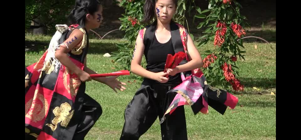  voyeur | Voyeur Performance 14 - 15325172 | voyeur