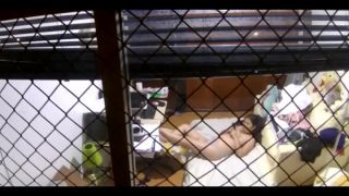 video adulto en línea 7 jp2 - cámara oculta - webcam