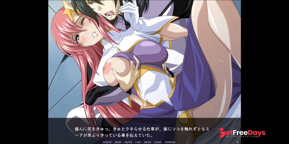 GUNDAM SEED DESTINY SF part4 Hapite