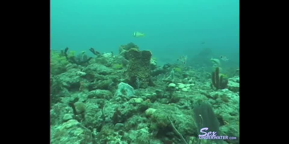 SexUnderwater e0018 Scuba Dears   Reef 2 (mp4)