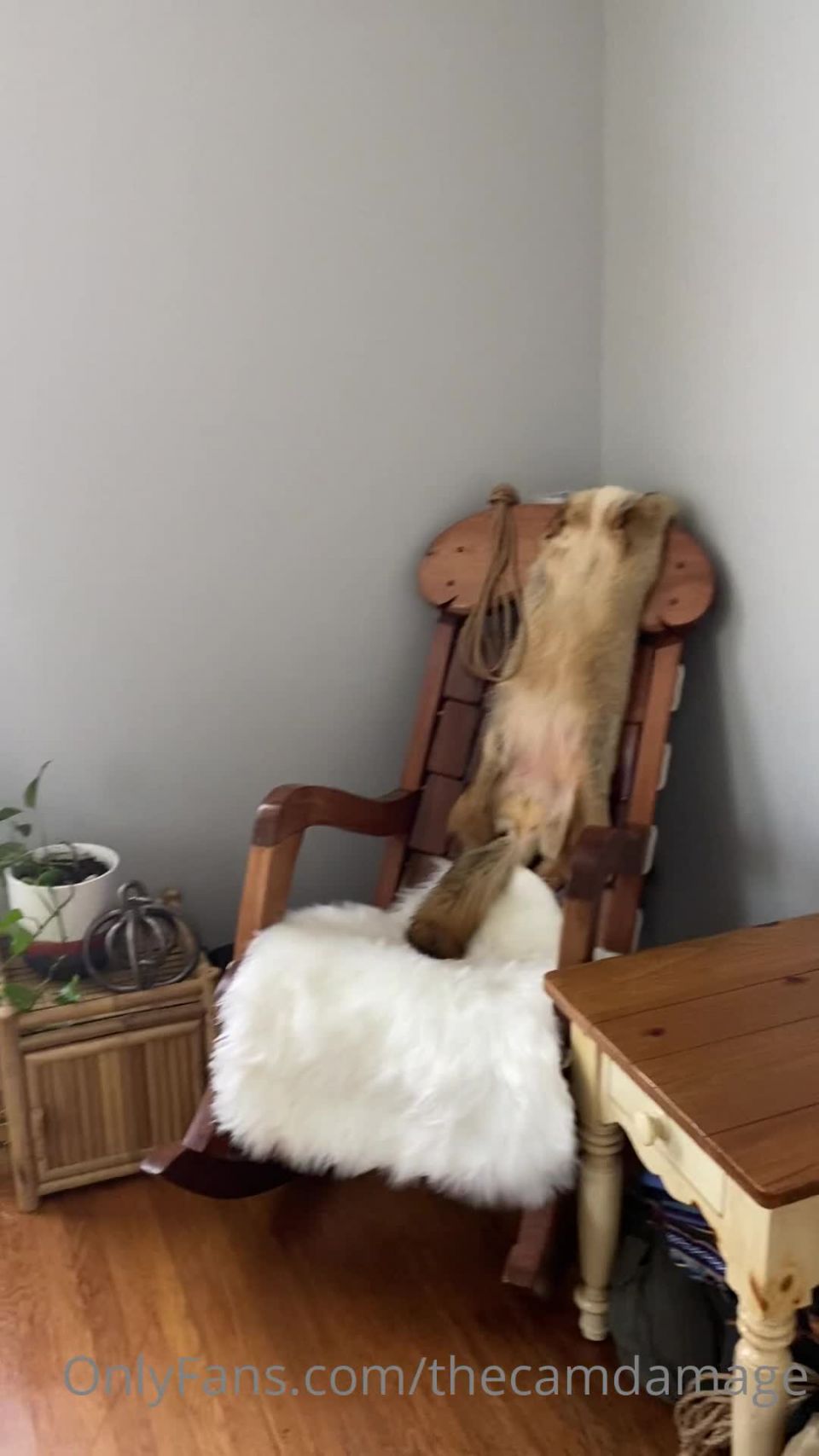 [OF] Cam Damage (@thecamdamage) Vids_5ebb03fa6bf53d286a6a7_source