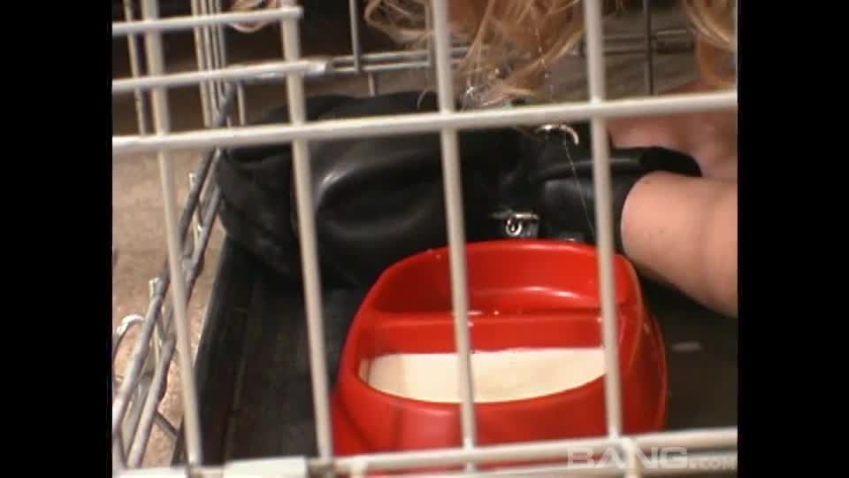 Escena de mascota del maestro 3