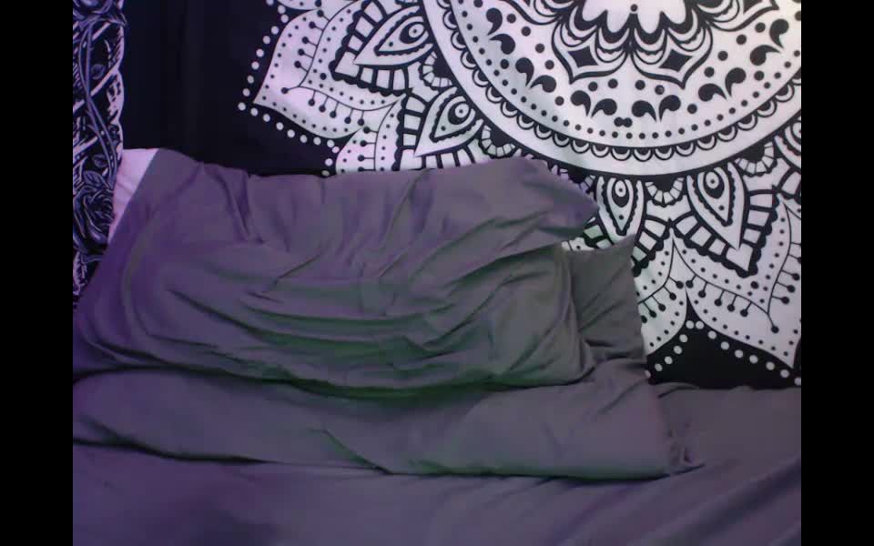 Shemale Webcams Video for June 21, 2020 – 42 - (Shemale porn)