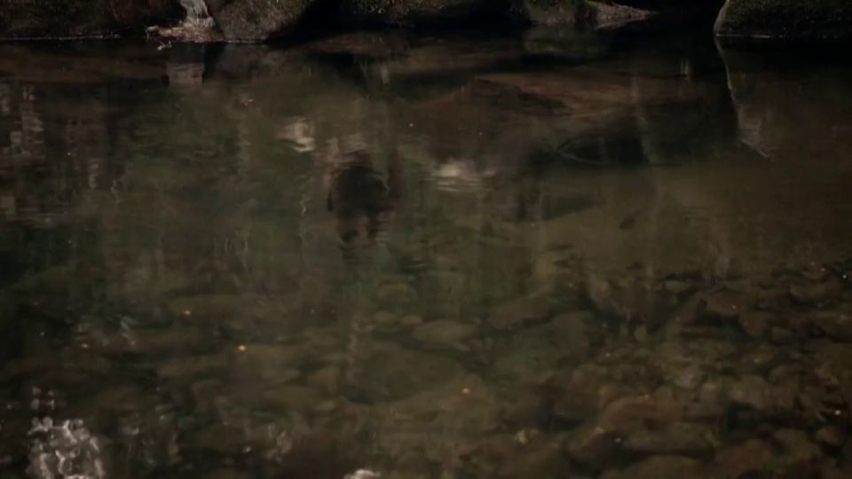 Antonia Morais, Mariah Rocha, Alessandra Negrini – Lucia McCartney s01e06 (2016) HD 720p!!!