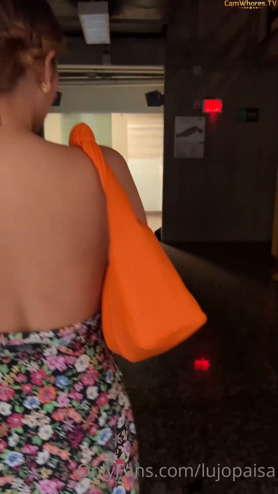 LujoPaisa OF Public Library Bathroom Creampie Onlyfans (Amateur porn)