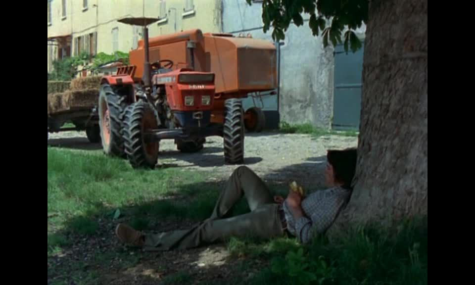 7195 vicieuse amandine