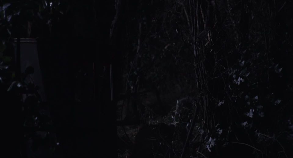 Iliana Zabeth, Laura Poulvet, Theodora Marcade - Liberte (2019) HD 1080p!!!