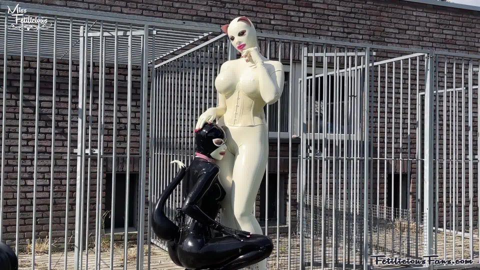 Latex Kitties Outdoors Quick View Porn - New Sex Videos O...