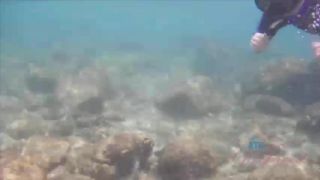 free video 23 18 blowjob porn | orgasm | masturbation porn