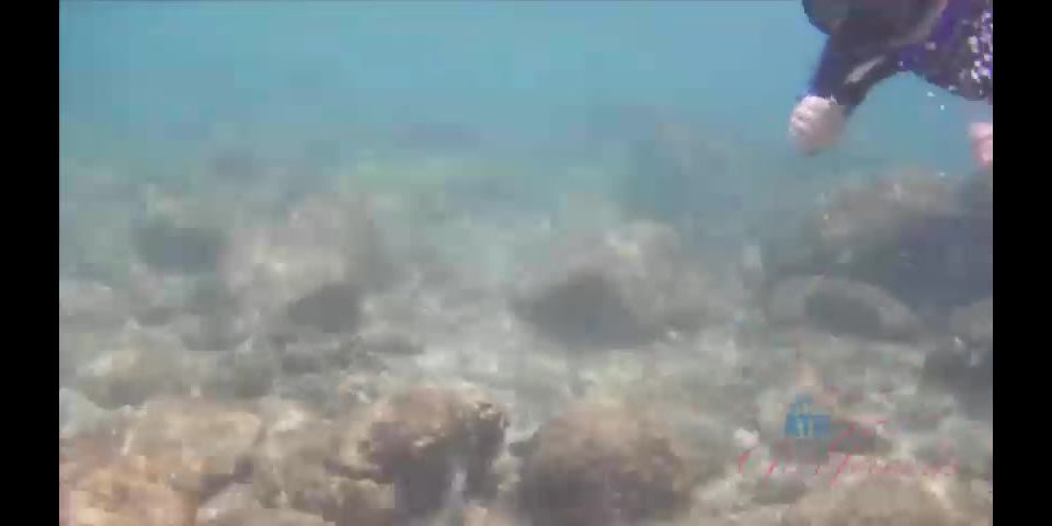 free video 23 18 blowjob porn | orgasm | masturbation porn