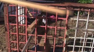 BrendasBoundjennah-thecage-3000