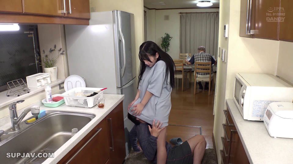 Reducing Mosaic DANDY-942 ヤリマンな義妹のパンツの匂いを嗅いでいるのが見つかってどこでも顔騎されるようになりました