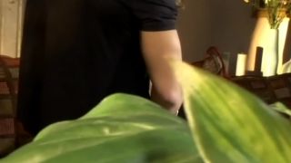 Latin Spice, Scene 2