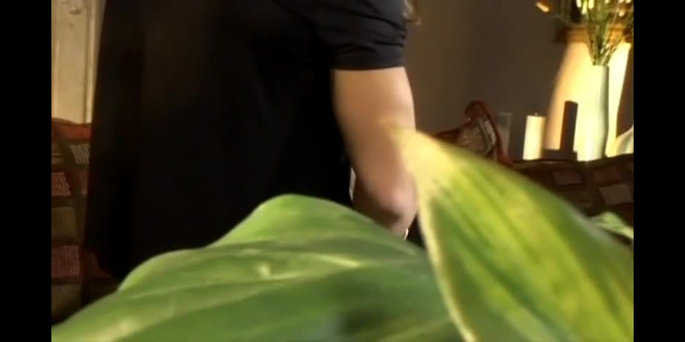 Latin Spice, Scene 2