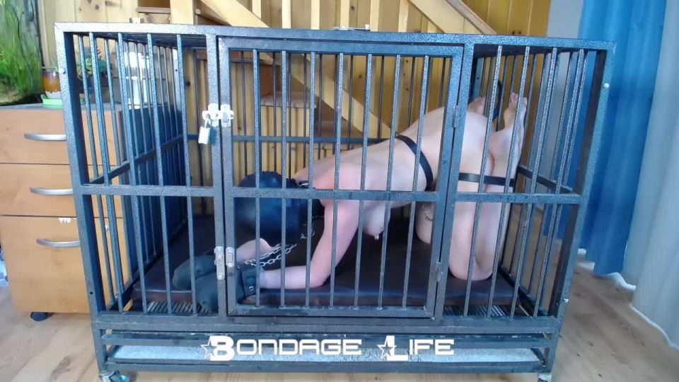 free adult clip 41 Bondage Life – Cage Time With Clamps Rachel Greyhound, fishnet fetish on fetish porn 