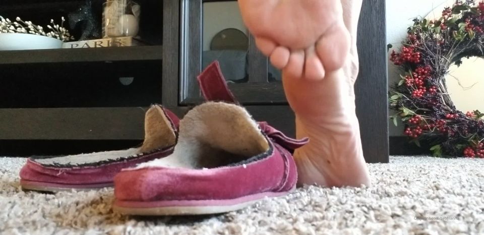 online porn clip 43 zephianna 22022020 my feet have made these slippers reek so bad i have to k on femdom porn feminist femdom