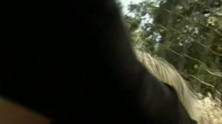 RayleneCollection Laptop Scene 2