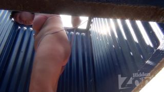 2016-2017 hz bc 1926