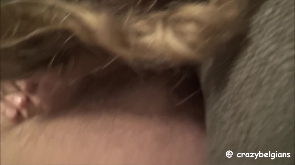 sex4charityBlowjob with asshole licking