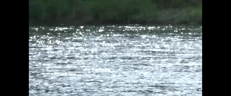 free porn video 6  japanese porn | Любовь пожилого человека: Борец сумо из бумаги / Rojin no koi kami no rikishi / The elderly person’s love: Sumo wrestler of paper (2010) | erotic movies 2000