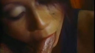 Swedish Erotica 085: Coed in the van (1970’s)!!!