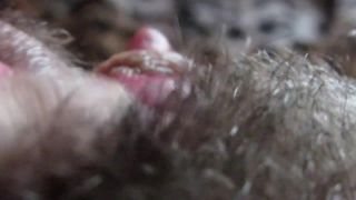 cuteblonde666 Big clit hiding in the hairy bush - Hairy