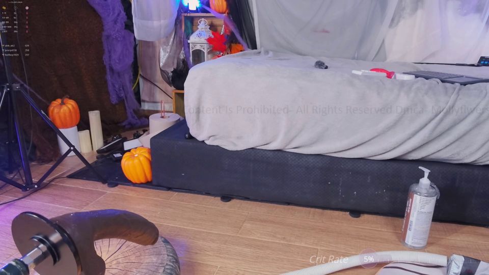 Mollyflwers 002 mollyflwers 2024-10-17 20-13