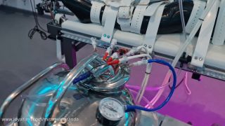 Miss Miranda: Doll O Clock.