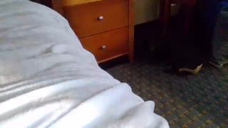 Shemale Webcams Video for March 30, 2020 – 15 Webcam!