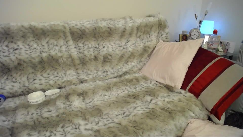 online porn video 23  | shemales | shemale porn