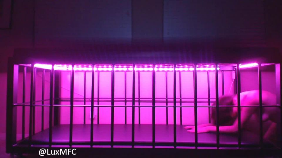 vídeo para adultos 20 LuxNeon - Bratty Slave Begs &Amp; Seduce para la Libertad - temptress lux - fetiche porno fetiche juguetes sexuales