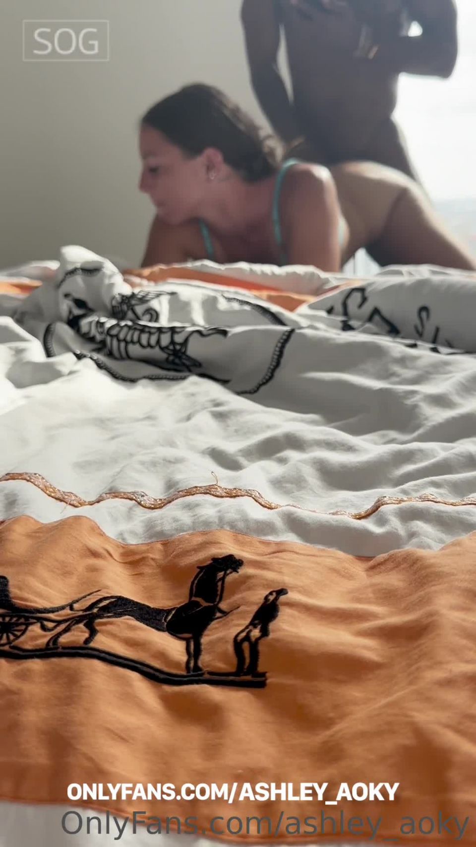 Ashley Aoky - Interracial Hardcore Video 14 1920P - Hardcore